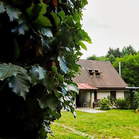 Villa Chaloupka Zdarky Extérieur photo