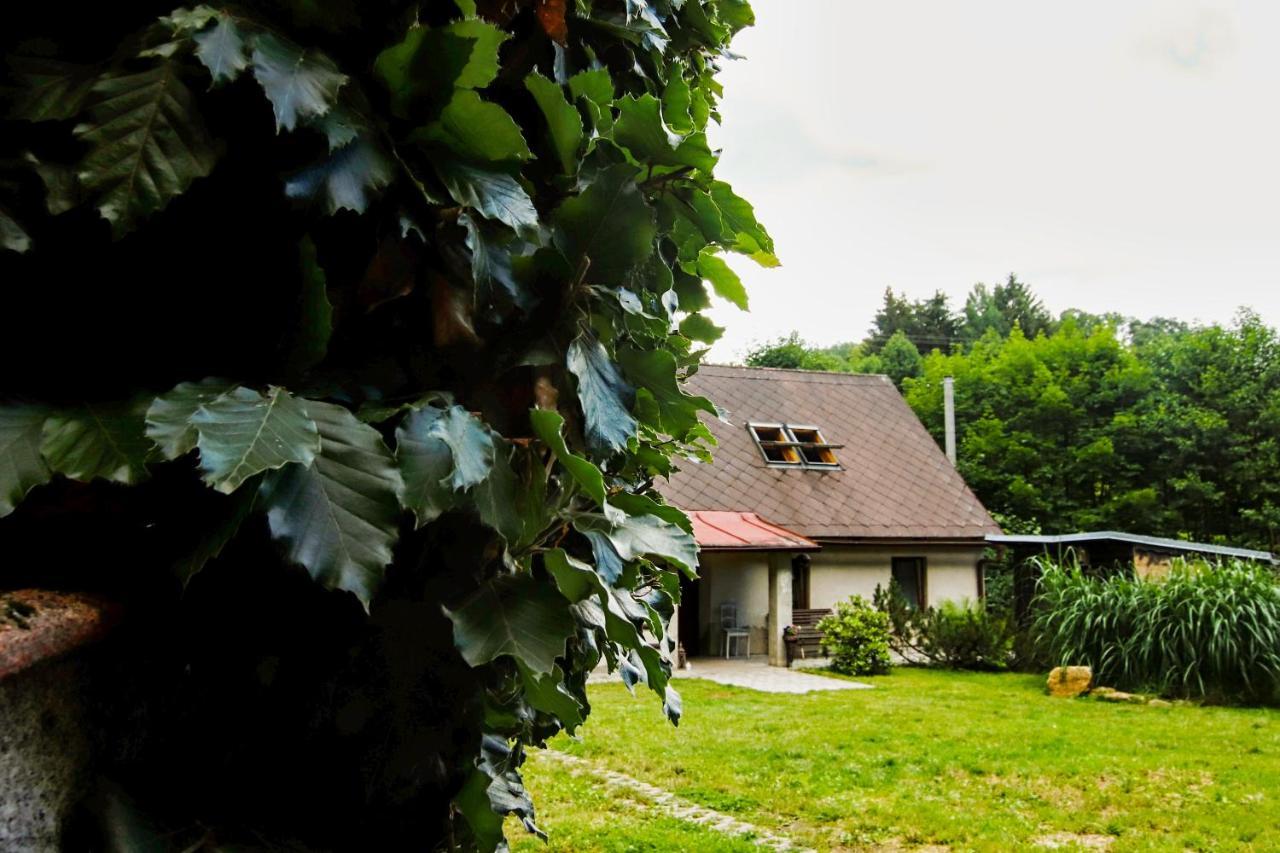 Villa Chaloupka Zdarky Extérieur photo